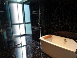 Nassim Park Residences (D10), Condominium #470068731